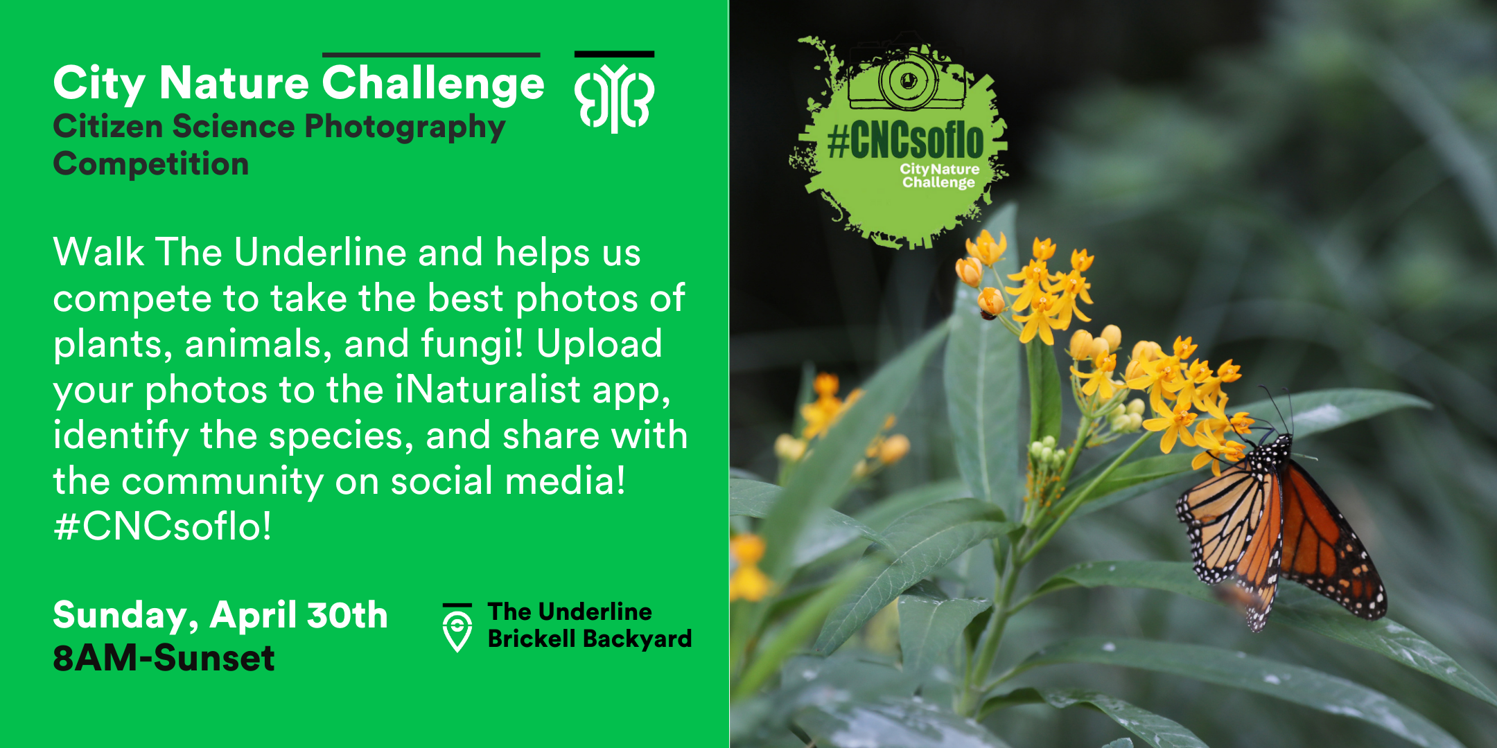 City Nature Challenge Photography Competition The Underline